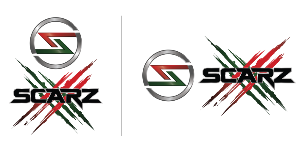 Professional Pro e-Sport Team SCARZ